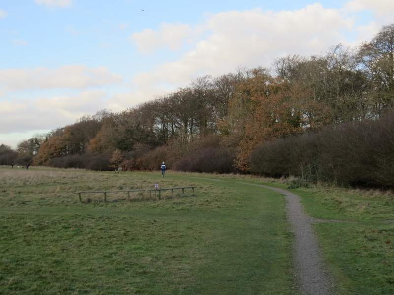 Pete's Walks Sonning Common and Mapledurham (page 5 of 5)